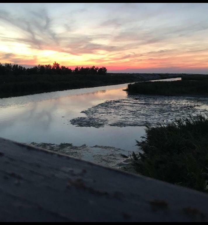 Agriturismo Ca' Pisani Порто Виро Екстериор снимка
